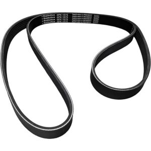 تسمه دینام 1575 تیپ 5 و رانا رایکالتون